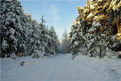 《生化危机2＆3》确定加入PS+怀旧收藏 今夏上线